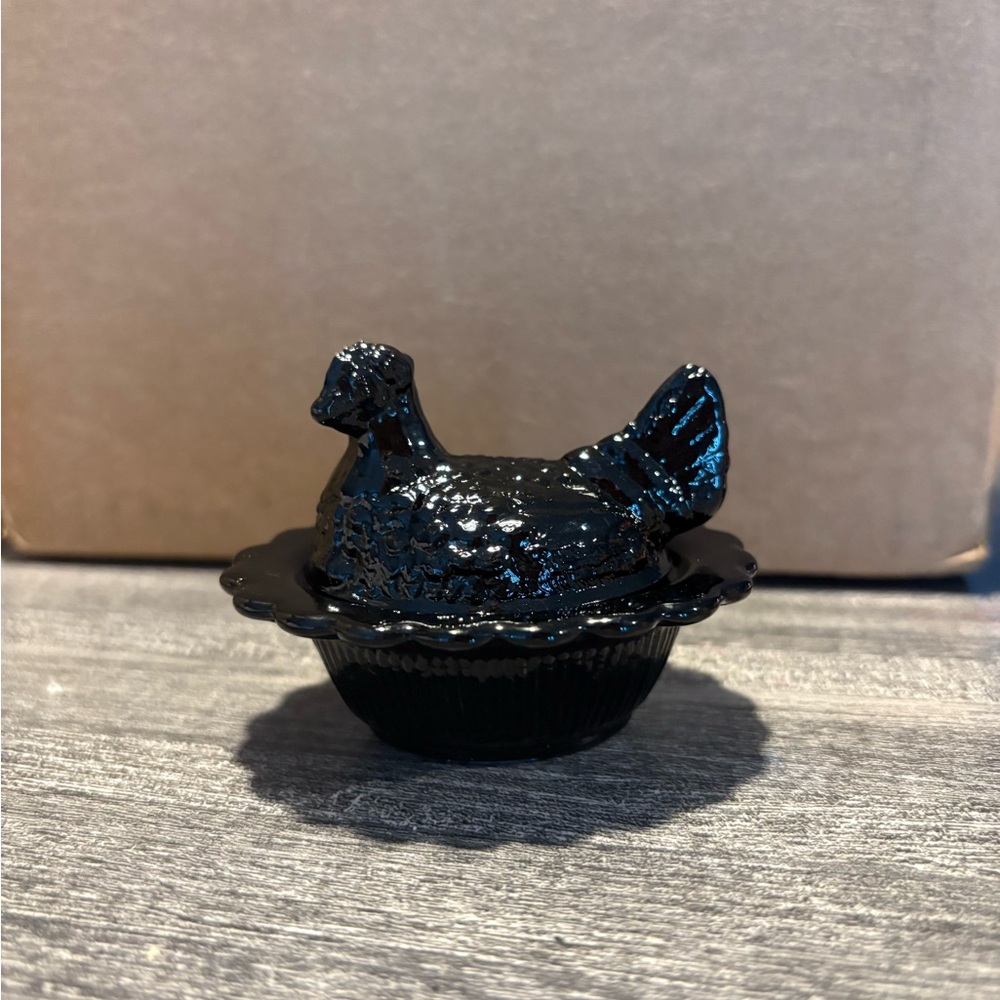 Black Hen on Nest
